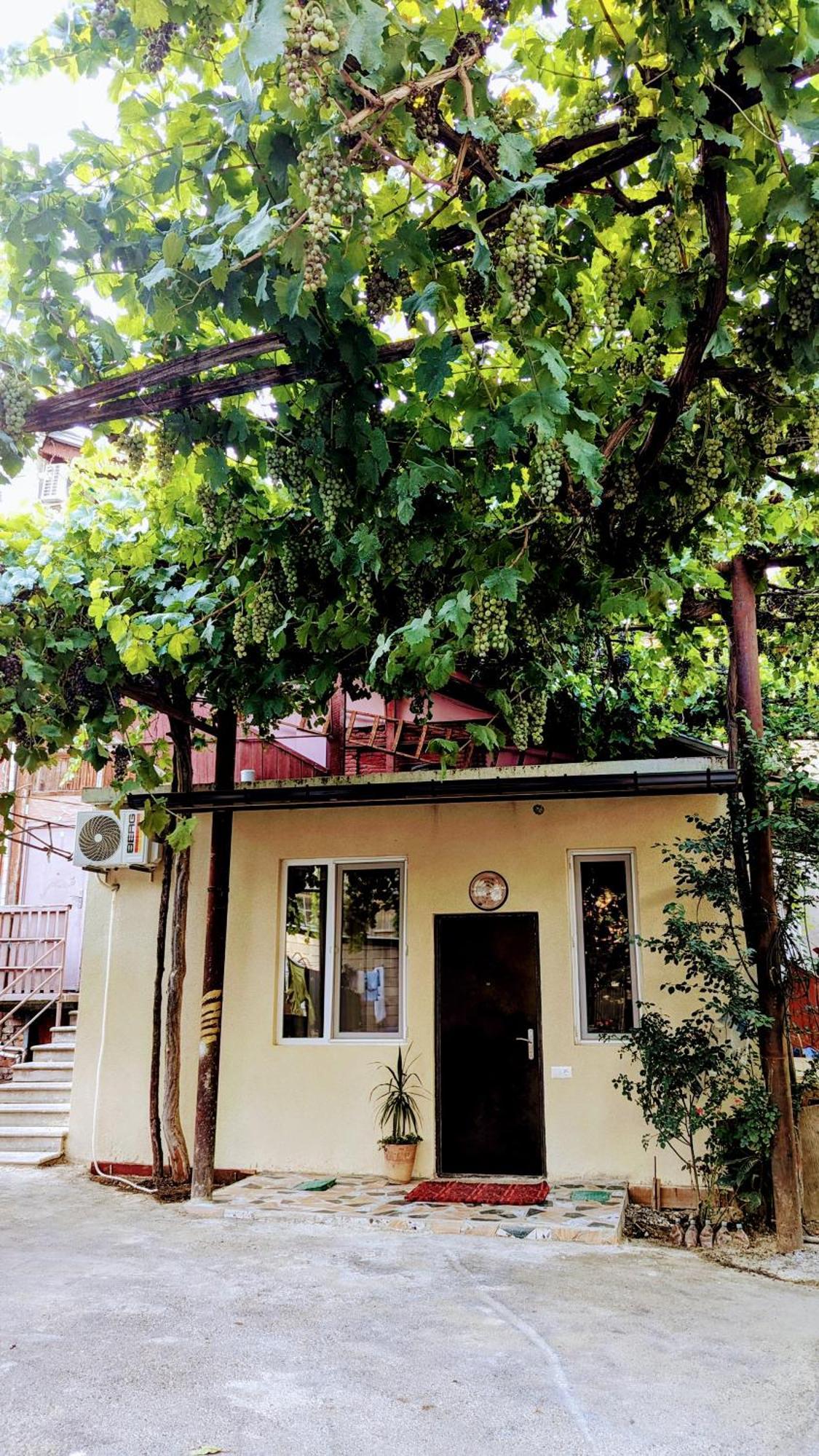 Green Corner Tbilisi Quarto foto