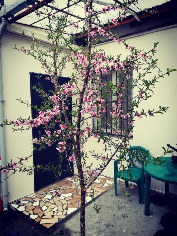 Green Corner Apartamento Tbilisi Exterior foto